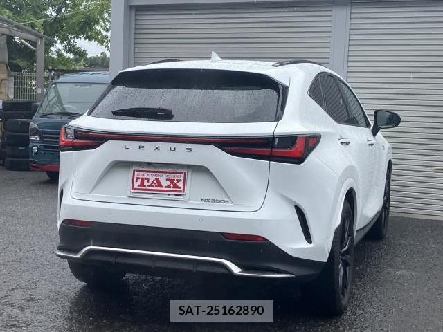 Lexus NX 2024-11 8728269-1