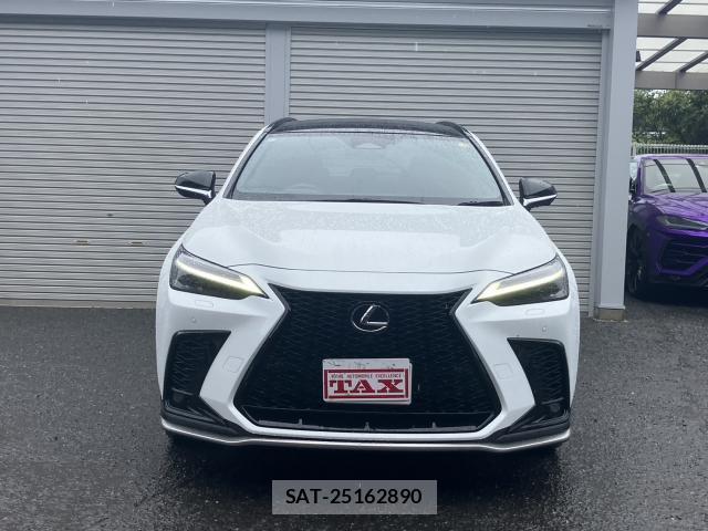 Lexus NX 2024-11 8728269-14