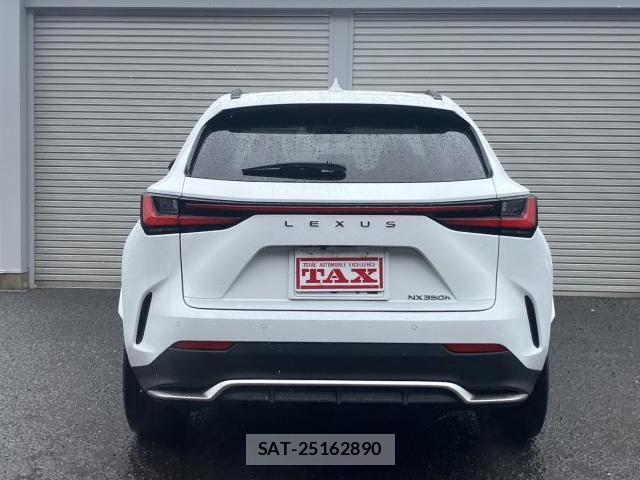 Lexus NX 2024-11 8728269-16