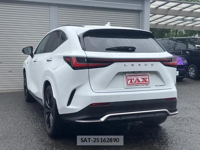 Lexus NX 2024-11 8728269-18