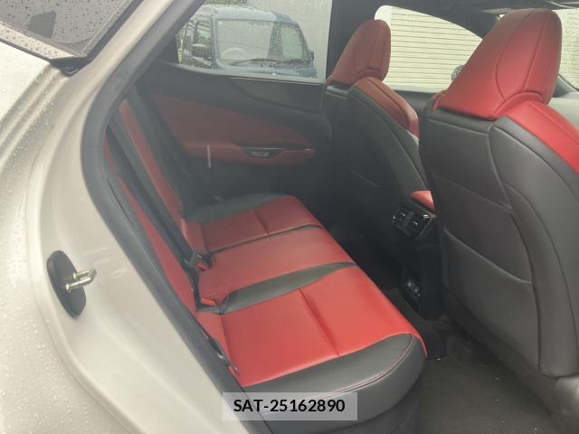 Lexus NX 2024-11 8728269-4