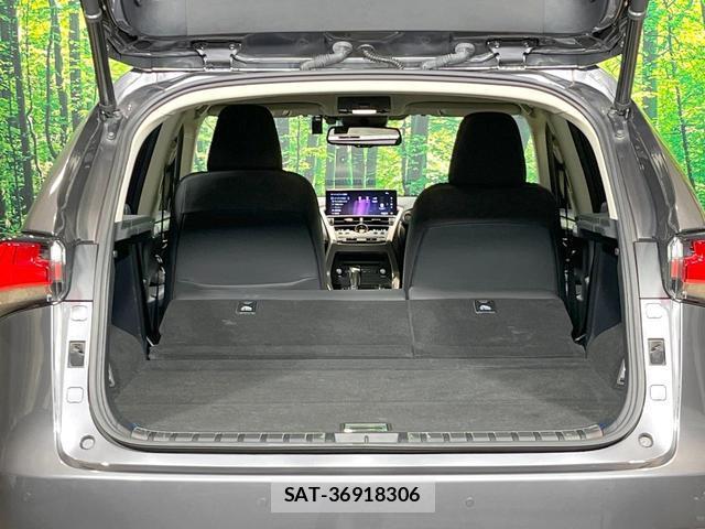 Lexus NX 2019-11 8728463-17