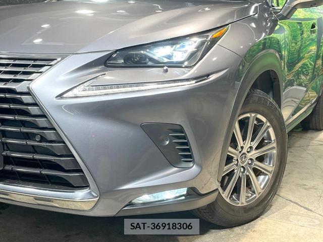 Lexus NX 2019-11 8728463-19