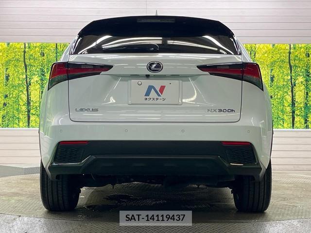 Lexus NX 2017-12 8728782-14
