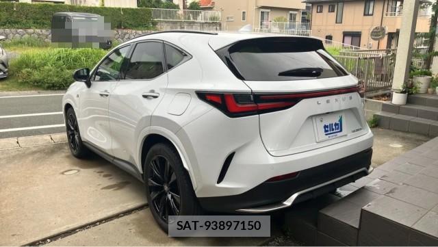 Lexus NX 2025-04 8729593-13