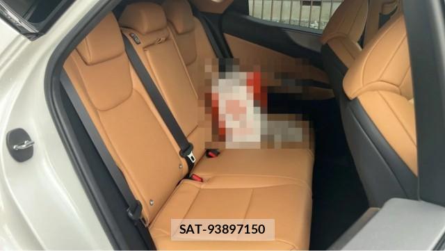Lexus NX 2025-04 8729593-6