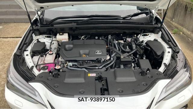 Lexus NX 2025-04 8729593-7