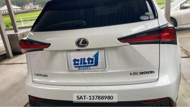 Lexus NX 2019-12 8729627-1