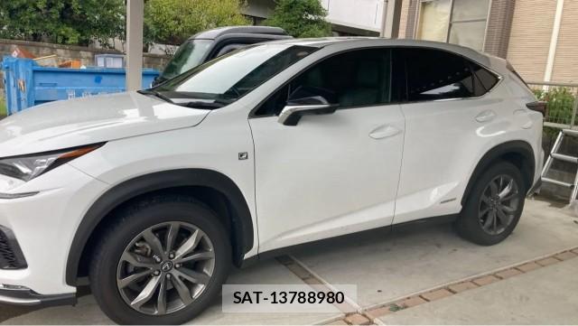 Lexus NX 2019-12 8729627-10