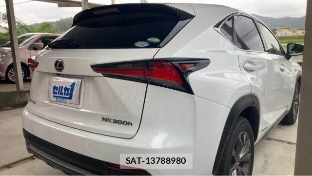 Lexus NX 2019-12 8729627-12