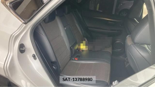 Lexus NX 2019-12 8729627-6
