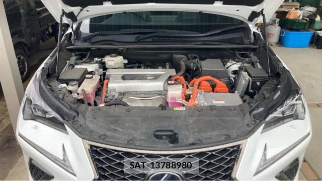 Lexus NX 2019-12 8729627-7
