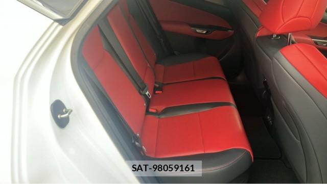 Lexus NX 2025-02 8729639-6