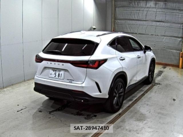 Lexus NX 2023-01 8730020-4