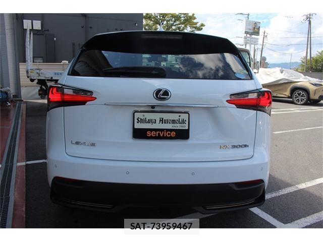 Lexus NX 2015-09 8730124-4
