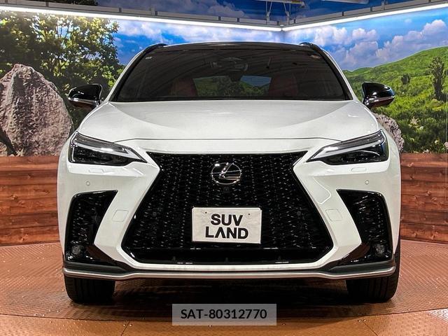 Lexus NX 2024-11 8730252-13