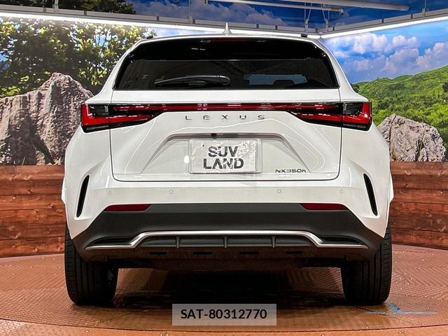 Lexus NX 2024-11 8730252-14