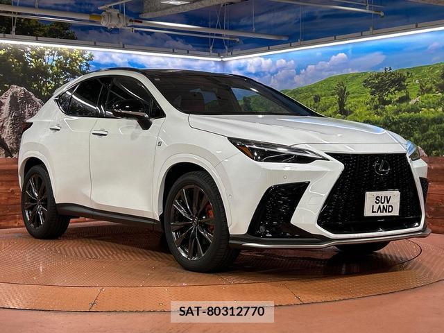 Lexus NX 2024-11 8730252-15