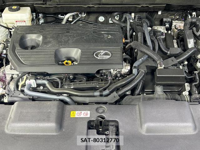 Lexus NX 2024-11 8730252-17