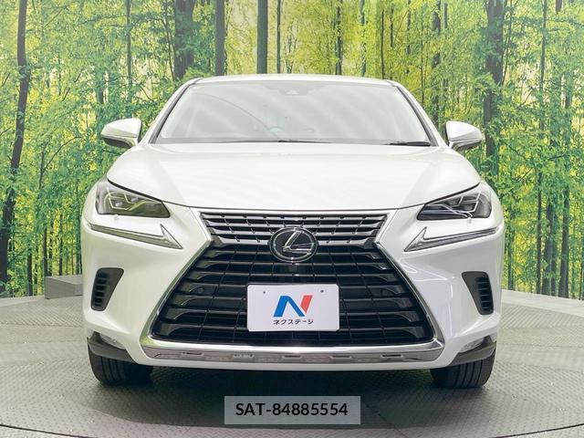 Lexus NX 2019-07 8730485-13