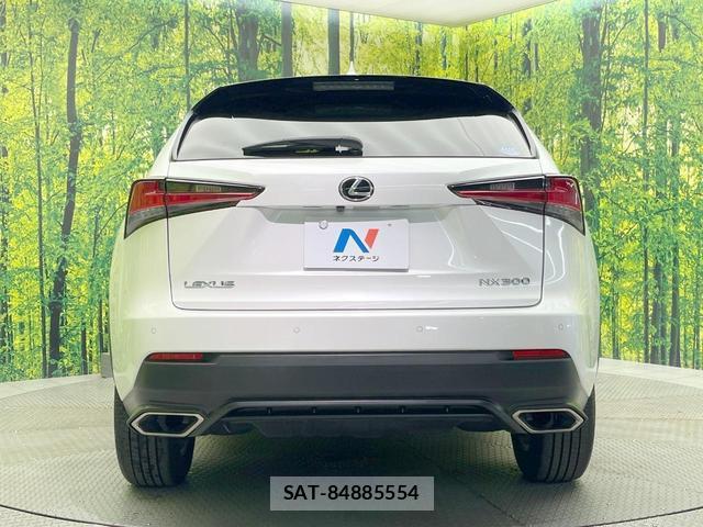 Lexus NX 2019-07 8730485-14