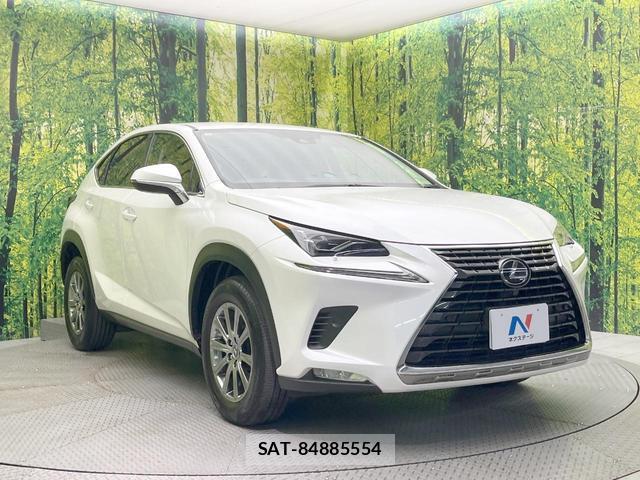 Lexus NX 2019-07 8730485-15