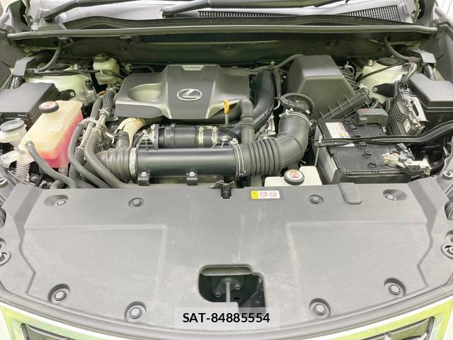 Lexus NX 2019-07 8730485-17