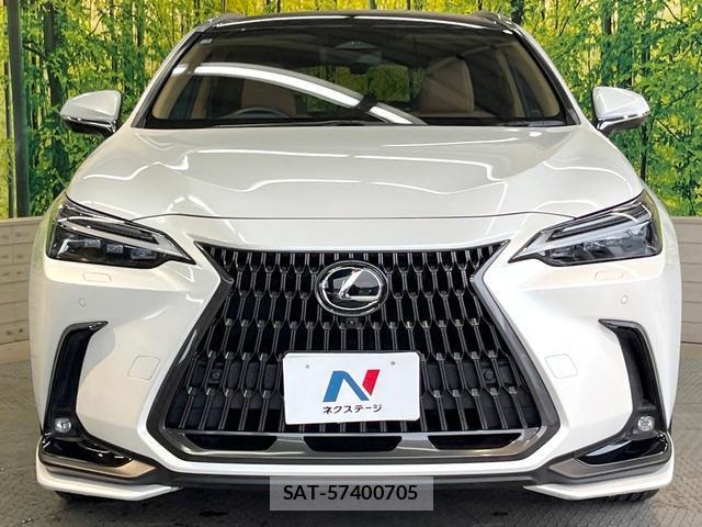 Lexus NX 2023-03 8731241-13