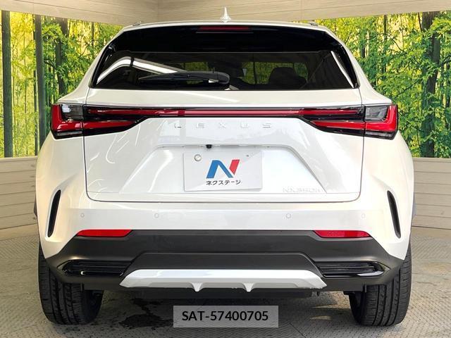 Lexus NX 2023-03 8731241-14
