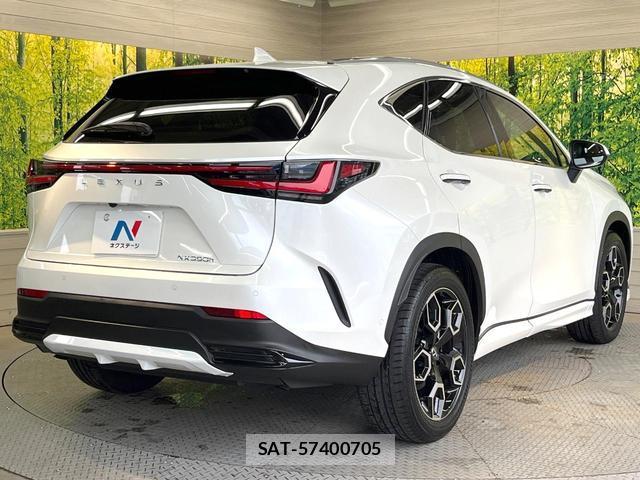 Lexus NX 2023-03 8731241-16