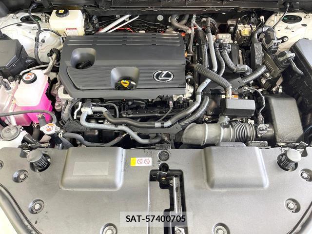 Lexus NX 2023-03 8731241-17