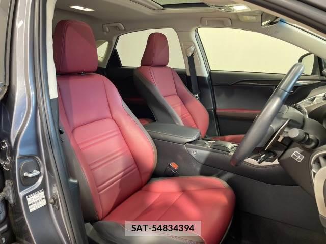 Lexus NX 2018-06 8731360-10