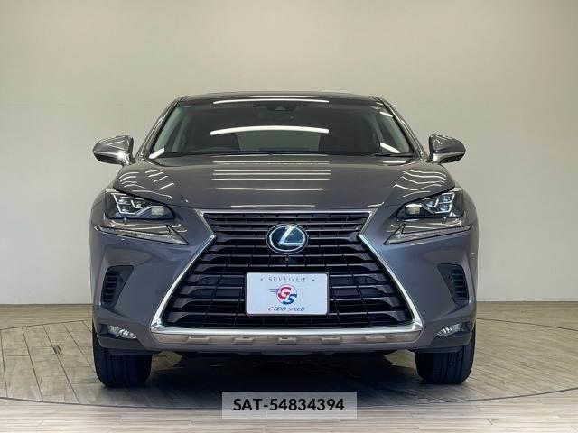 Lexus NX 2018-06 8731360-13