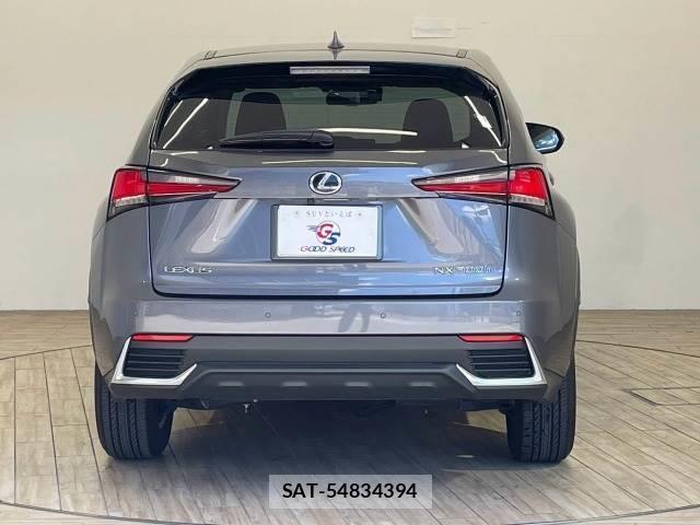 Lexus NX 2018-06 8731360-14