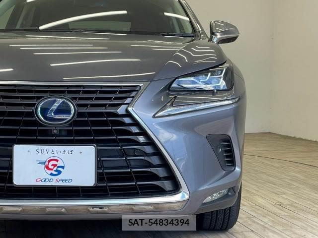 Lexus NX 2018-06 8731360-17
