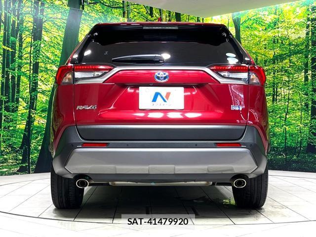 Toyota RAV4 2019-08 8726062-15