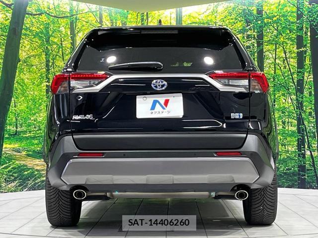 Toyota RAV4 2020-01 8730244-14