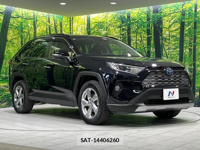 Toyota RAV4 2020-01 8730244-15