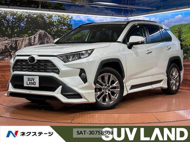 Toyota RAV4 2021-01 8730254-0