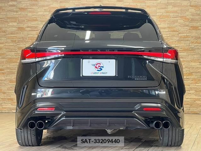 Lexus RX 2023-06 8726588-15