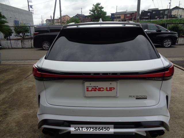 Lexus RX 2024-02 8727871-9