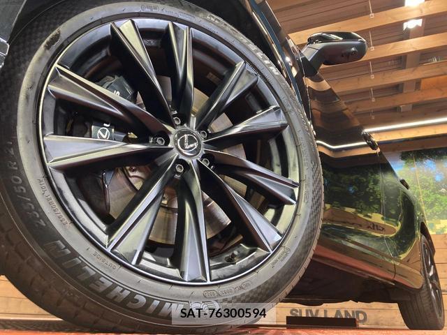 Lexus RX 2023-04 8728064-12