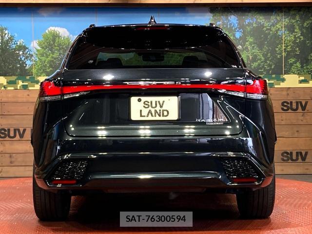 Lexus RX 2023-04 8728064-14