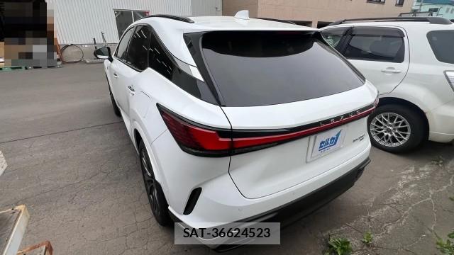 Lexus RX 2025-10 8729620-12