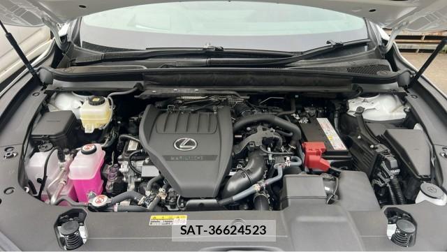 Lexus RX 2025-10 8729620-6