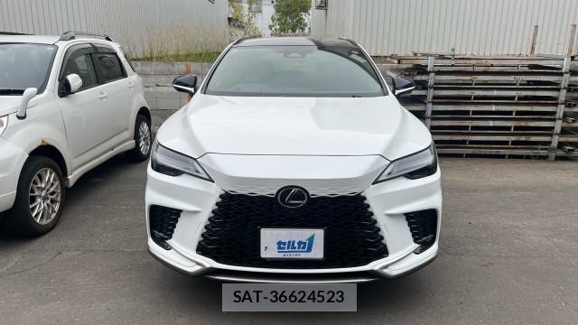 Lexus RX 2025-10 8729620-8