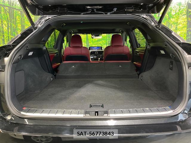 Lexus RX 2016-08 8730082-9