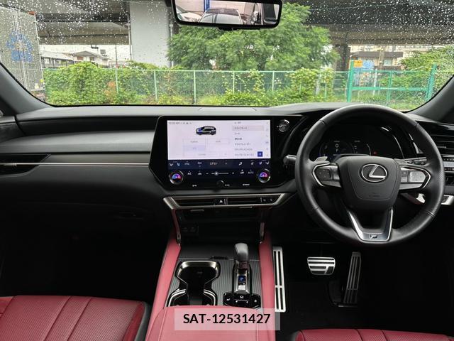 Lexus RX 2024-05 8730450-13