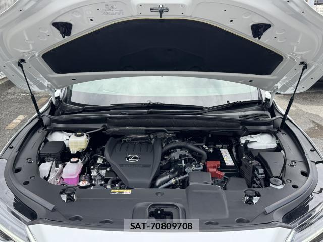 Lexus RX 2026-02 8730552-19