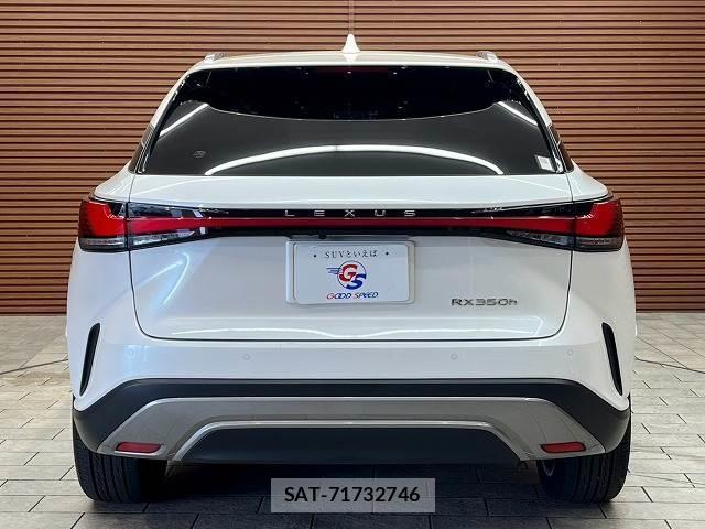 Lexus RX 2023-12 8730868-15